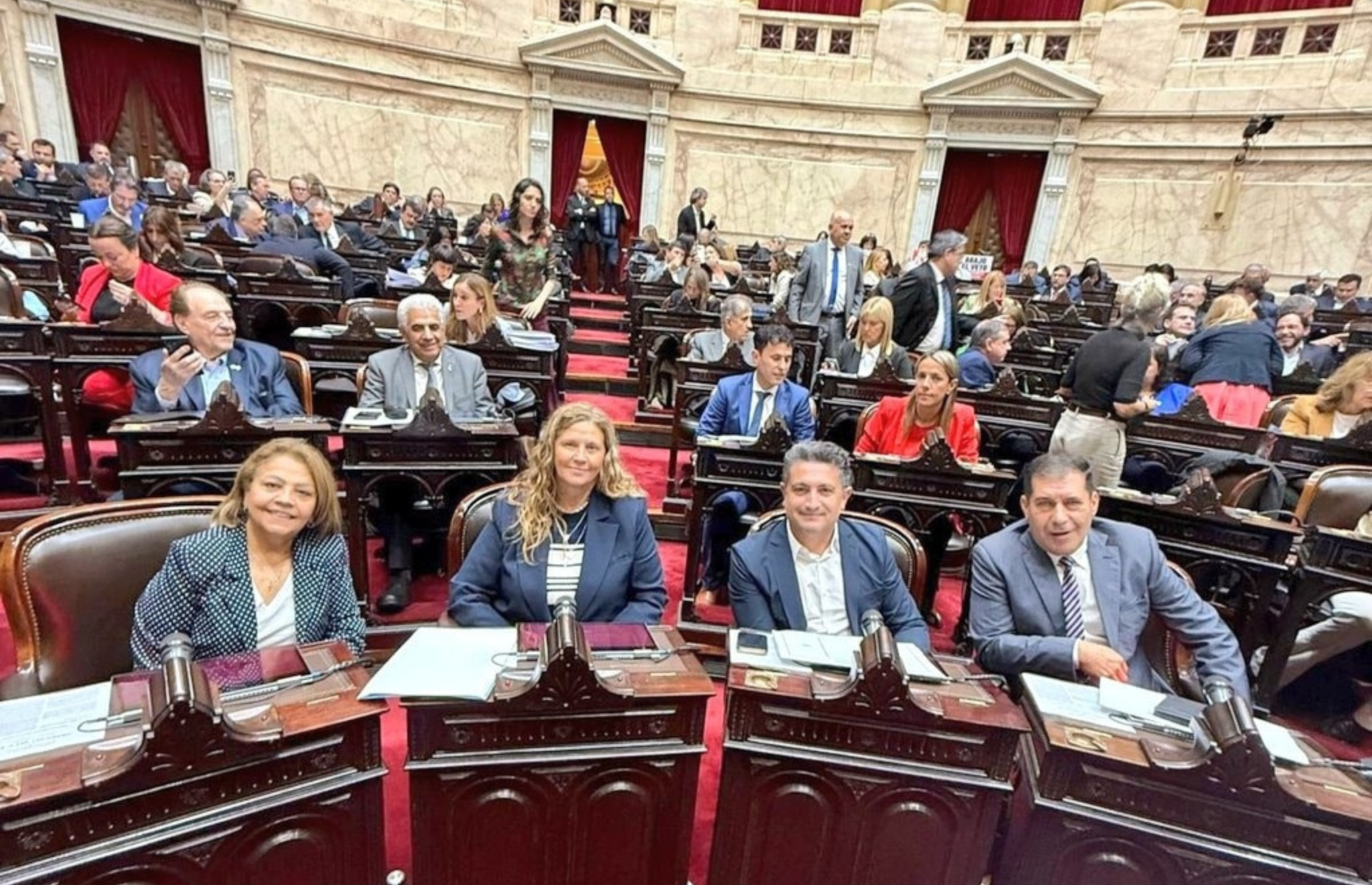 «ESTE RECHAZO AL VETO DE MILEI ES UN TRIUNFO PARA EL PUEBLO»