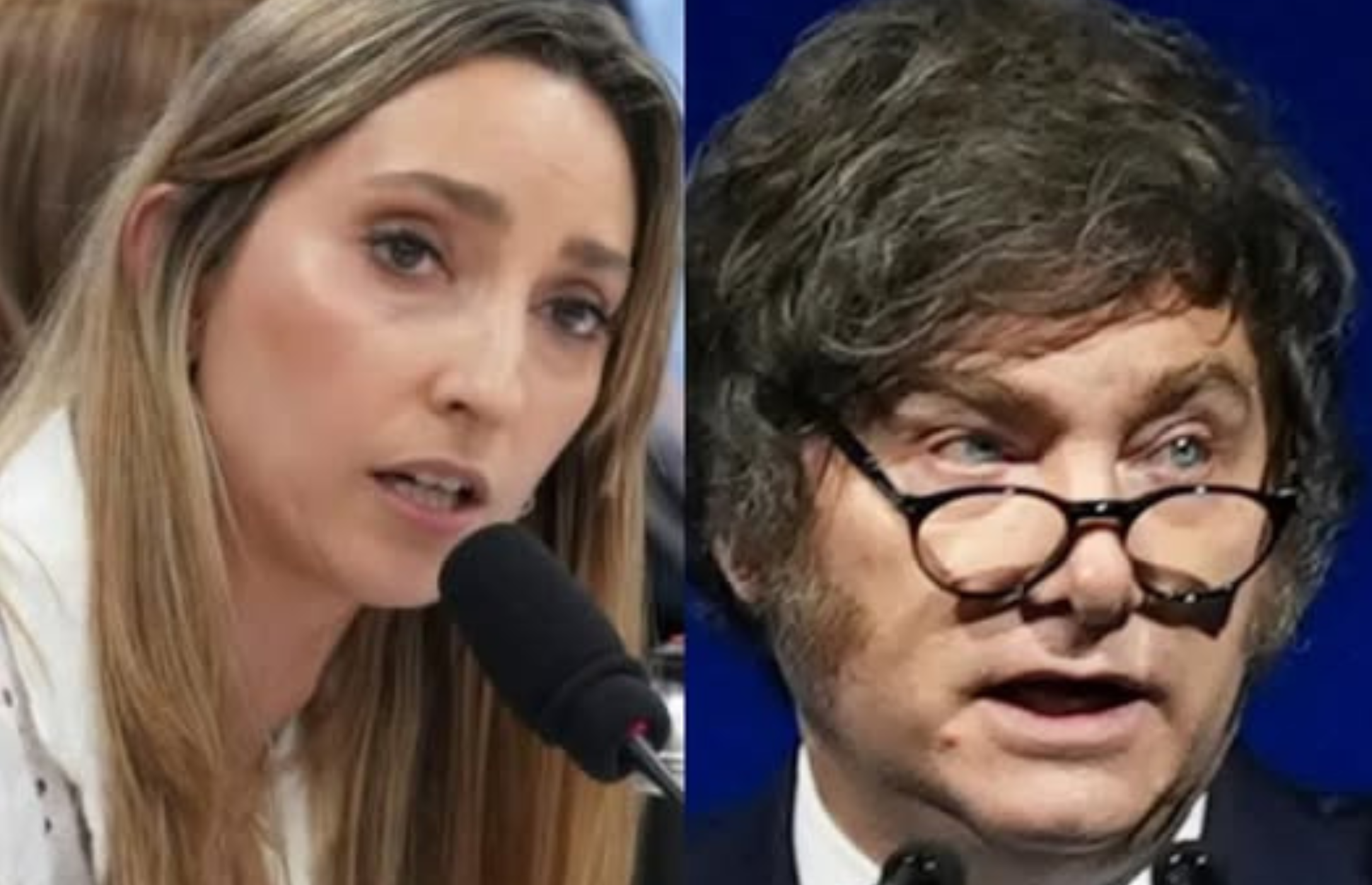 “MILEI ES UN EXTRATERRESTRE. ESTÁ TOTALMENTE DISOCIADO DE LA REALIDAD”