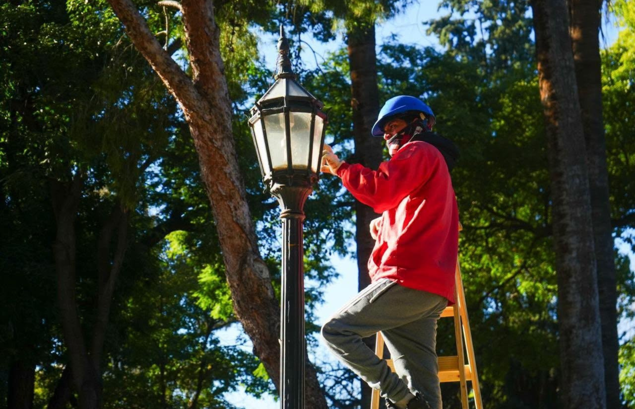 EL MUNICIPIO CAPITAL PUSO EN VALOR LA PLAZA 9 DE JULIO CON OBRAS DE ILUMINACIÓN, LIMPIEZA Y FORESTACIÓN