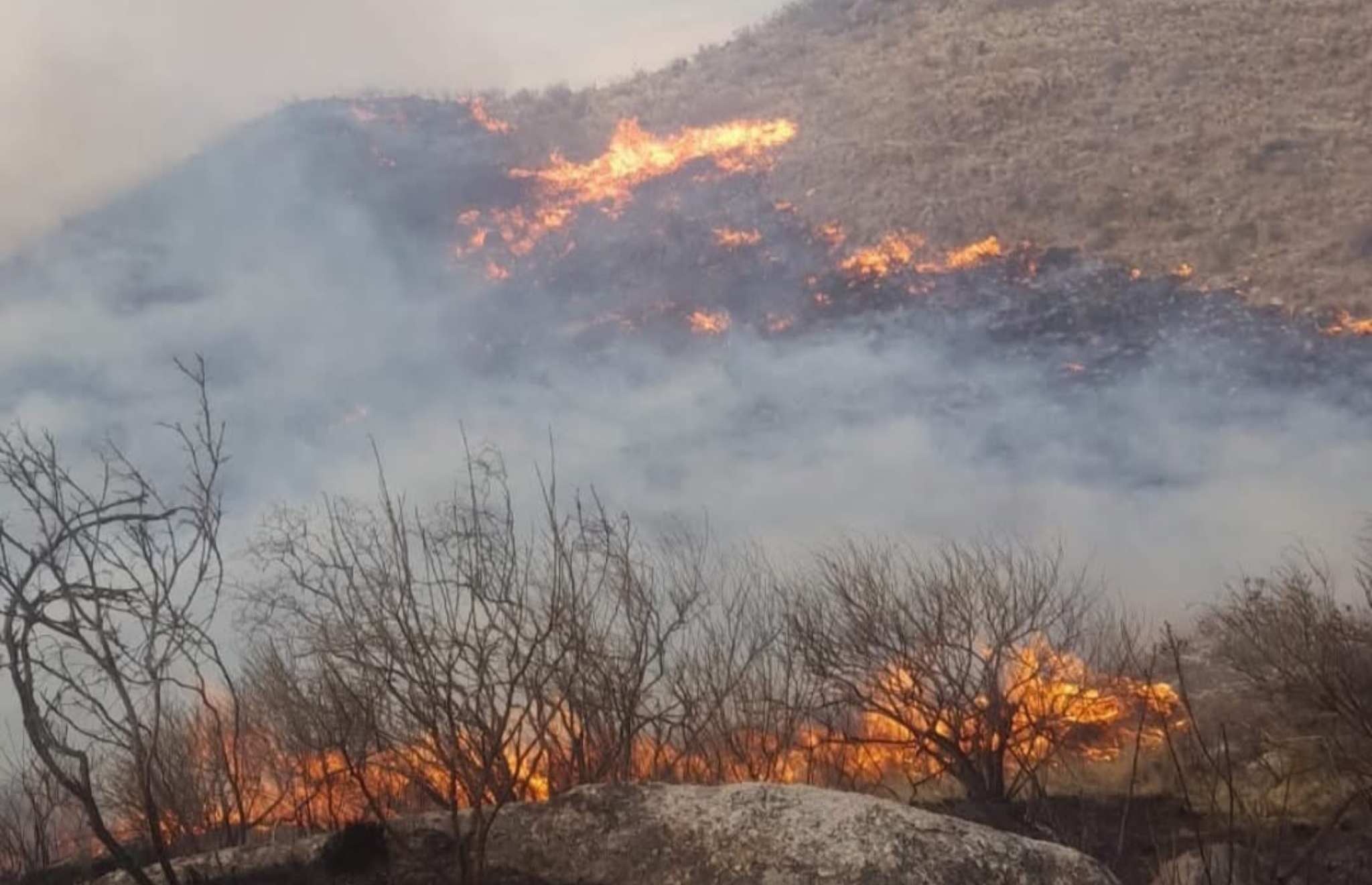 INCENDIO EN CHILECITO: EL FUEGO ARRASÓ CON 900 HECTÁREAS Y EL VIENTO DIFICULTA EL COMBATE