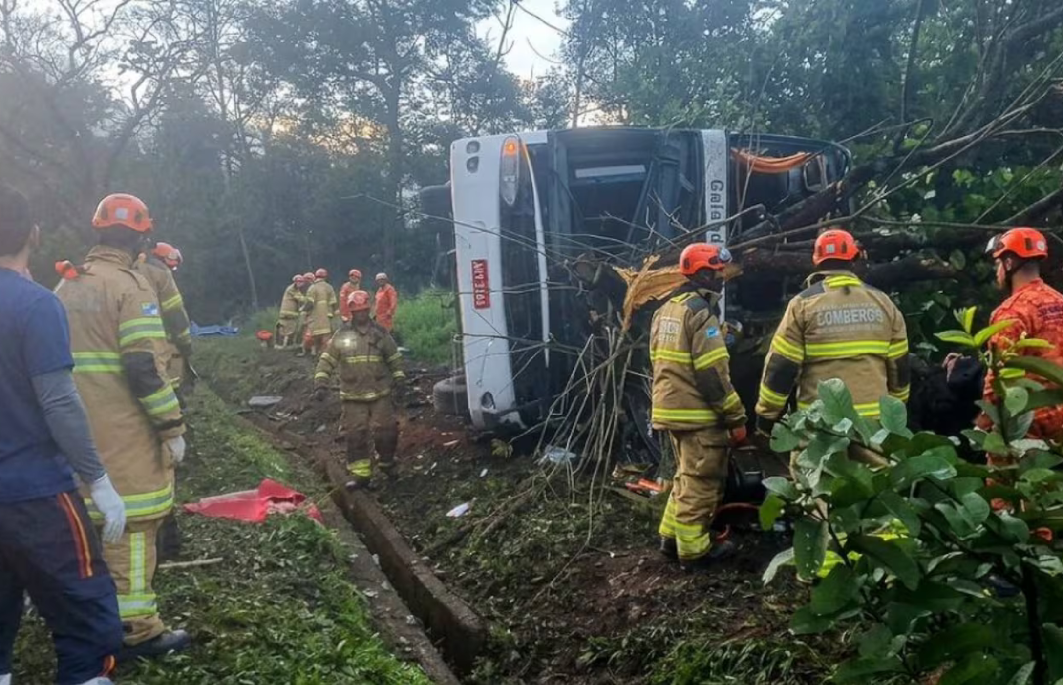 TRAGEDIA EN BRASIL: VOLCÓ UN MICRO Y MURIERON 10 PERSONAS
